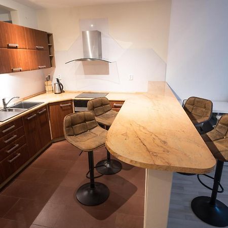 Apartment Vodni With Parking Бърно Екстериор снимка